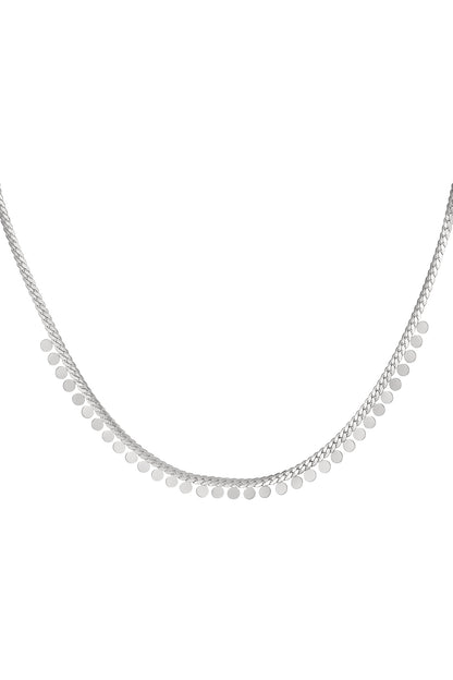 Ketting muntjes - Zilver Stainless Steel