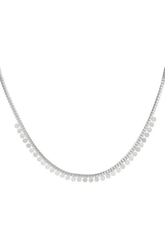 Ketting muntjes - Zilver Stainless Steel