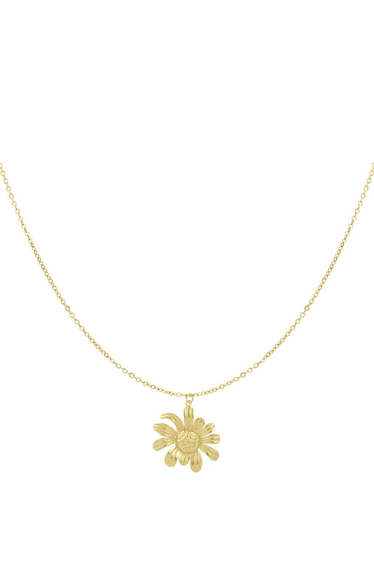 happy daisy ketting