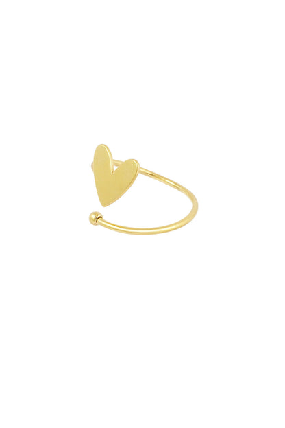 gedraaide liefdes ring