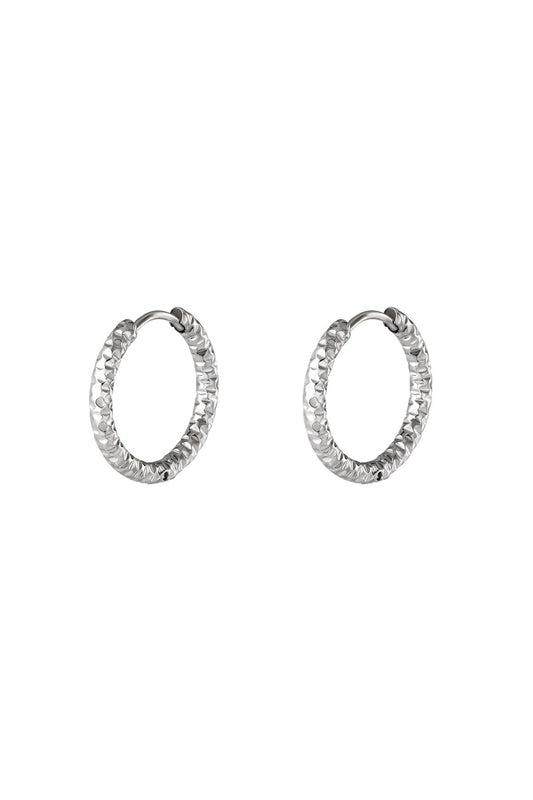 Oorringen van roestvrij staal Zilver Stainless Steel