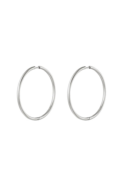 RVS oorbellen hoops medium Goud kleur Stainless Steel