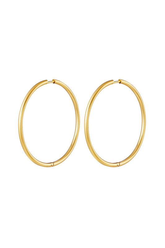 RVS oorbellen hoops groot Goud kleur Stainless Steel