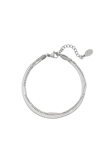 Roestvrij stalen armband dubbel geketend Zilver Stainless Steel