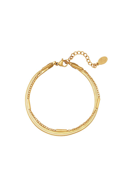 Roestvrij stalen armband dubbel geketend Zilver Stainless Steel