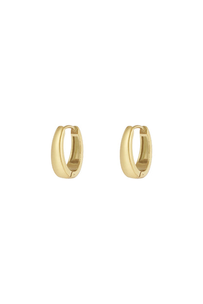 Stylish Stainless Steel Hoop Earrings - Silver & Gold
