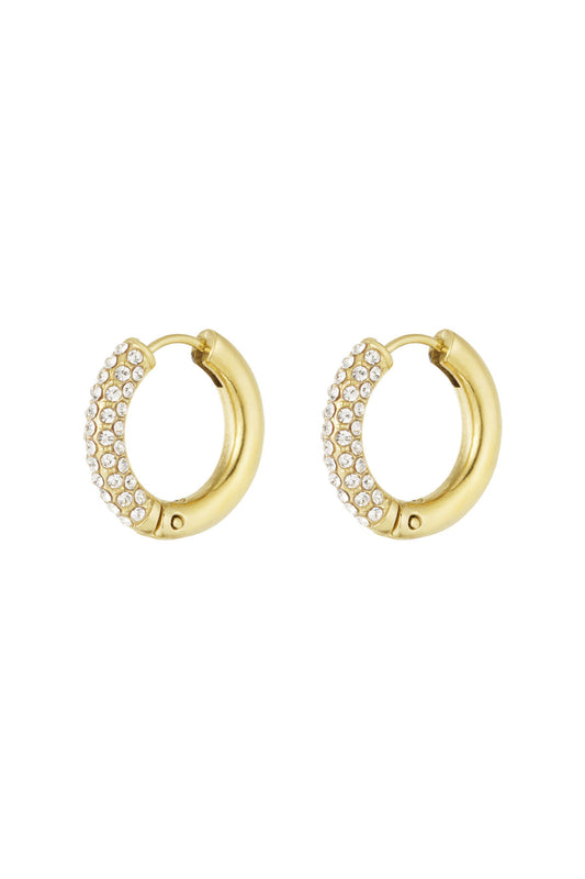 Shiny Rings oorbellen
