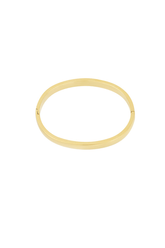 classic bangle armband