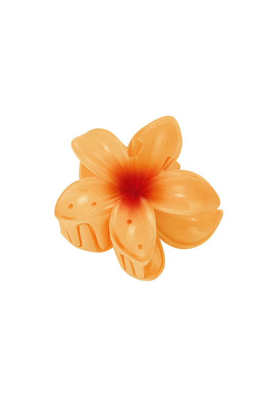Haarclip met gradiëntbloem Hawaii love