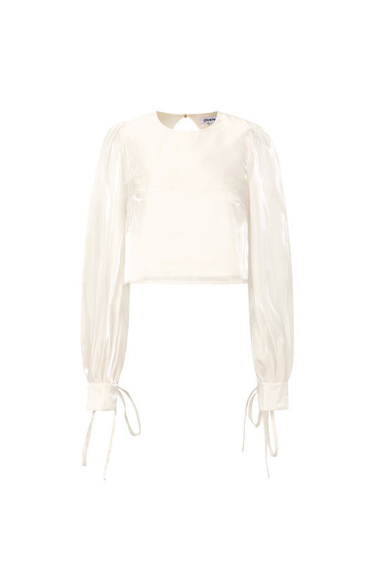 Glanzende parelblouse