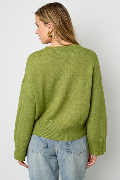 Gebreide Polyestervezel Vrouwen Truien Casual Effen Kleur Herfst/Winter