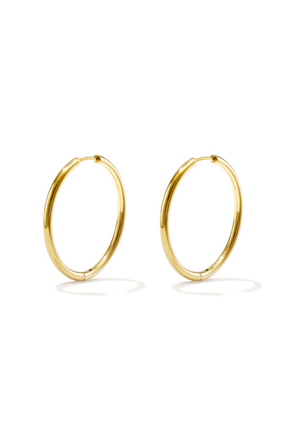RVS oorbellen hoops klein Goud kleur Stainless Steel