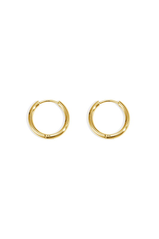 Oorbellen Little Hoops 1,6cm Goud kleur Stainless Steel