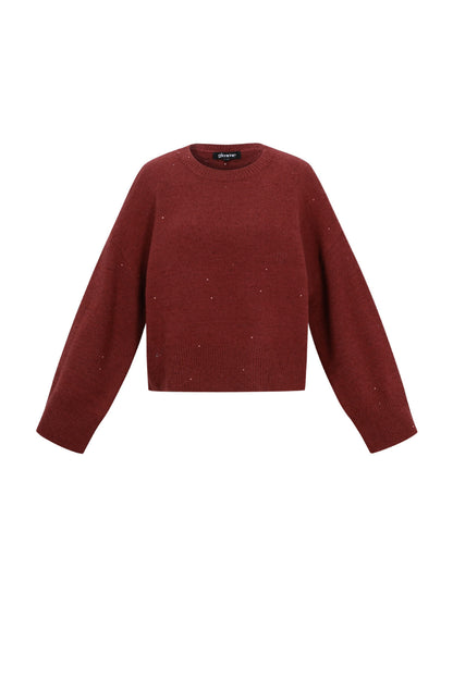 Gebreide Polyestervezel Vrouwen Truien Casual Effen Kleur Herfst/Winter
