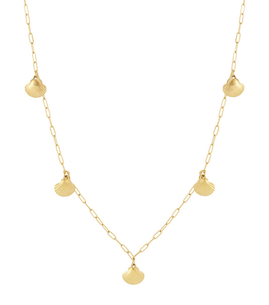 Lange schelpketting