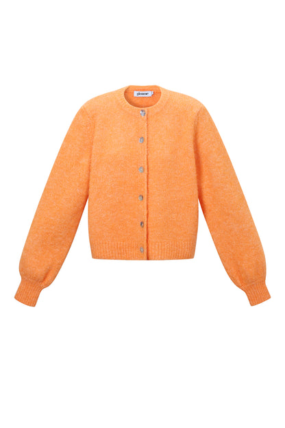 Gebreide Polyestervezel Vrouwen Cardigan Casual Solide Kleur Herfst/Winter