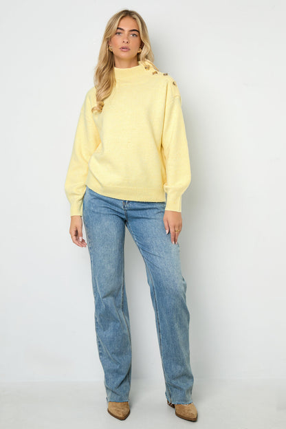 Gebreide Polyestervezel Vrouwen Trui met Schildkraag Casual Eenvoudige Kleur